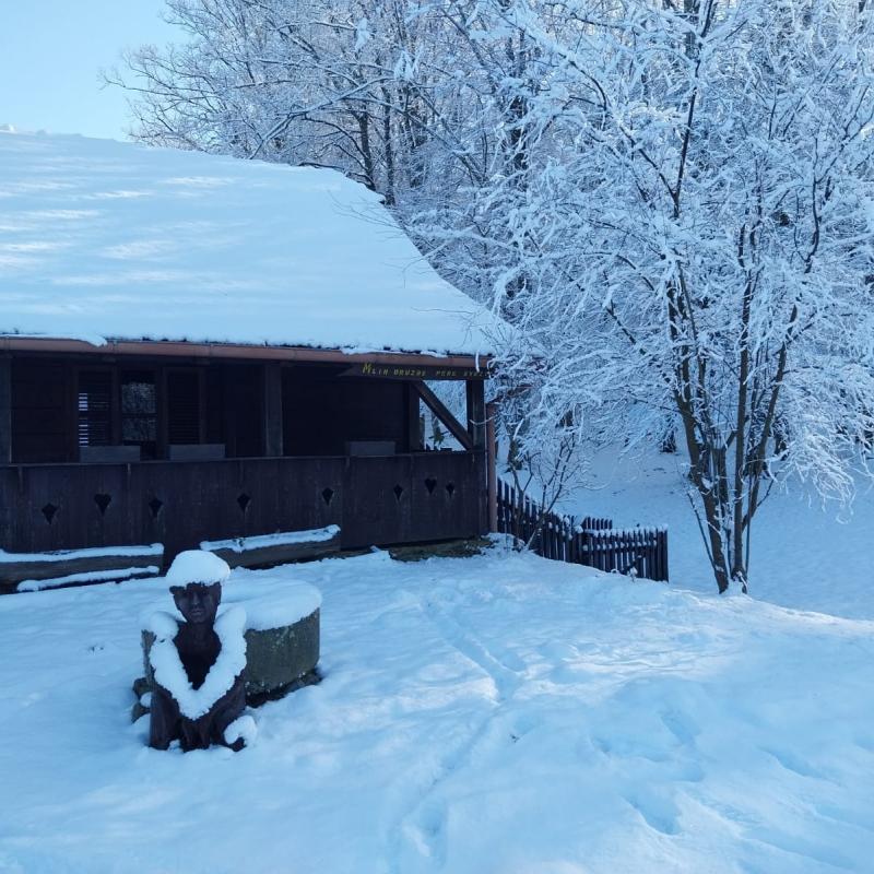 Mlin Družbe Pere Kvržice